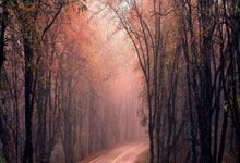 洛國富替補出場表現驚艷 賽後洛國富向球迷道歉.