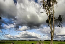 哈尔滨亚冬会开幕在即 总体天气无明显影响需防范低温和弱降雪.