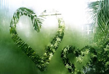 德裏赫特個人資料介紹.