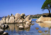 紐卡斯爾隊飛往米蘭的航班延誤 違反歐足聯賽前準備規定.